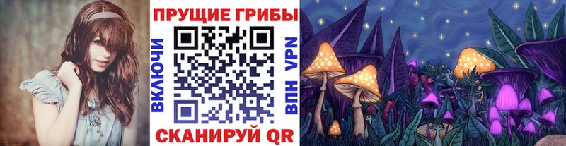 наркота Малоярославец мега ссылки Галлюциногенные грибы Cubensis