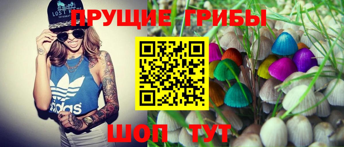 Галлюциногенные грибы прущие грибы  Галлюциногенные грибы MAGIC MUSHROOMS  Малоярославец 