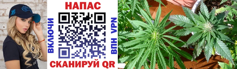 Бошки Шишки индика Малоярославец